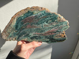 Fancy sea Jasper slab