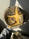 Yellow Septarian Eye Bowl