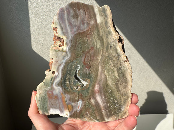 Fancy sea Jasper slab