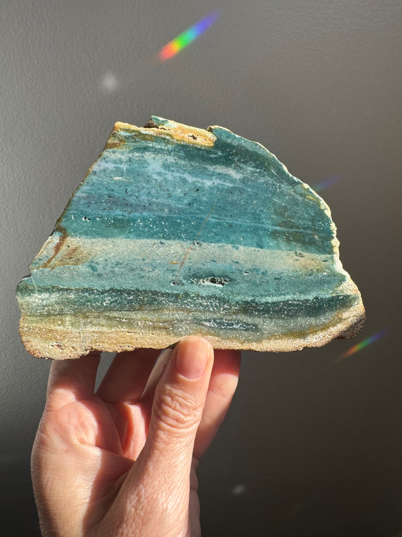 Fancy sea Jasper slab